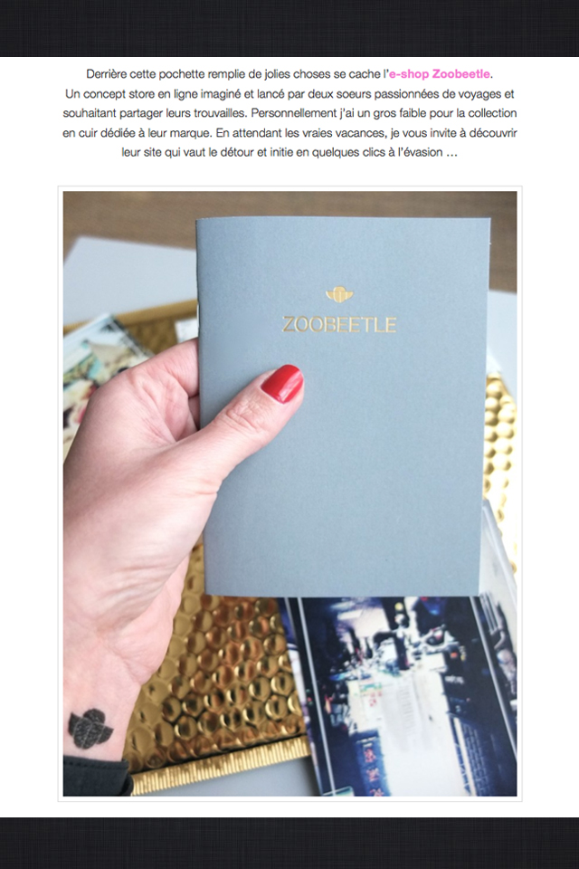 Article Zoobeetle - Mes petites paillettes